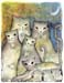 15-gatos