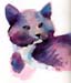 45-gato en morado