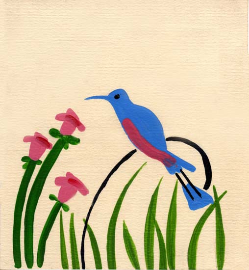 58-colibri