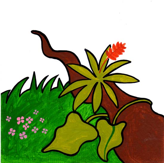 81-mata2