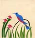 58-colibri